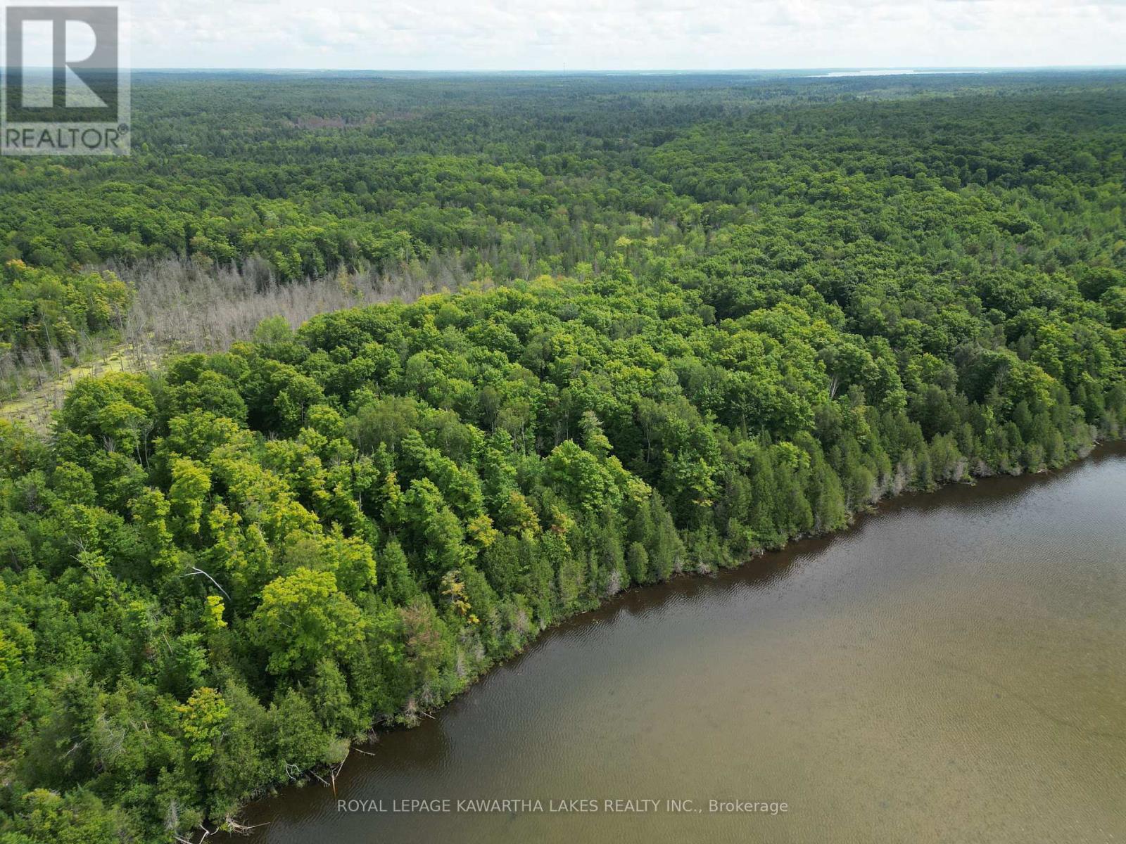 689 Bexley Laxton Twp Line, Kawartha Lakes, Ontario  K0M 1K0 - Photo 41 - X11966829