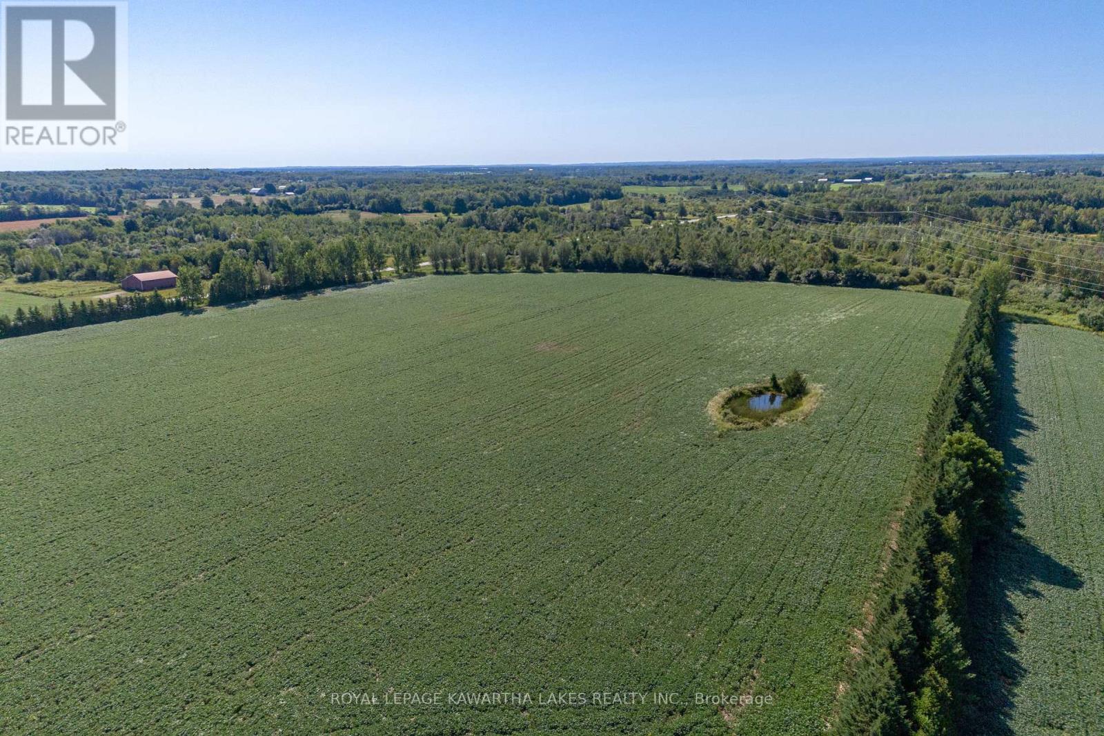 890 Woodville Road, Kawartha Lakes, Ontario  K0M 2T0 - Photo 31 - X12114658