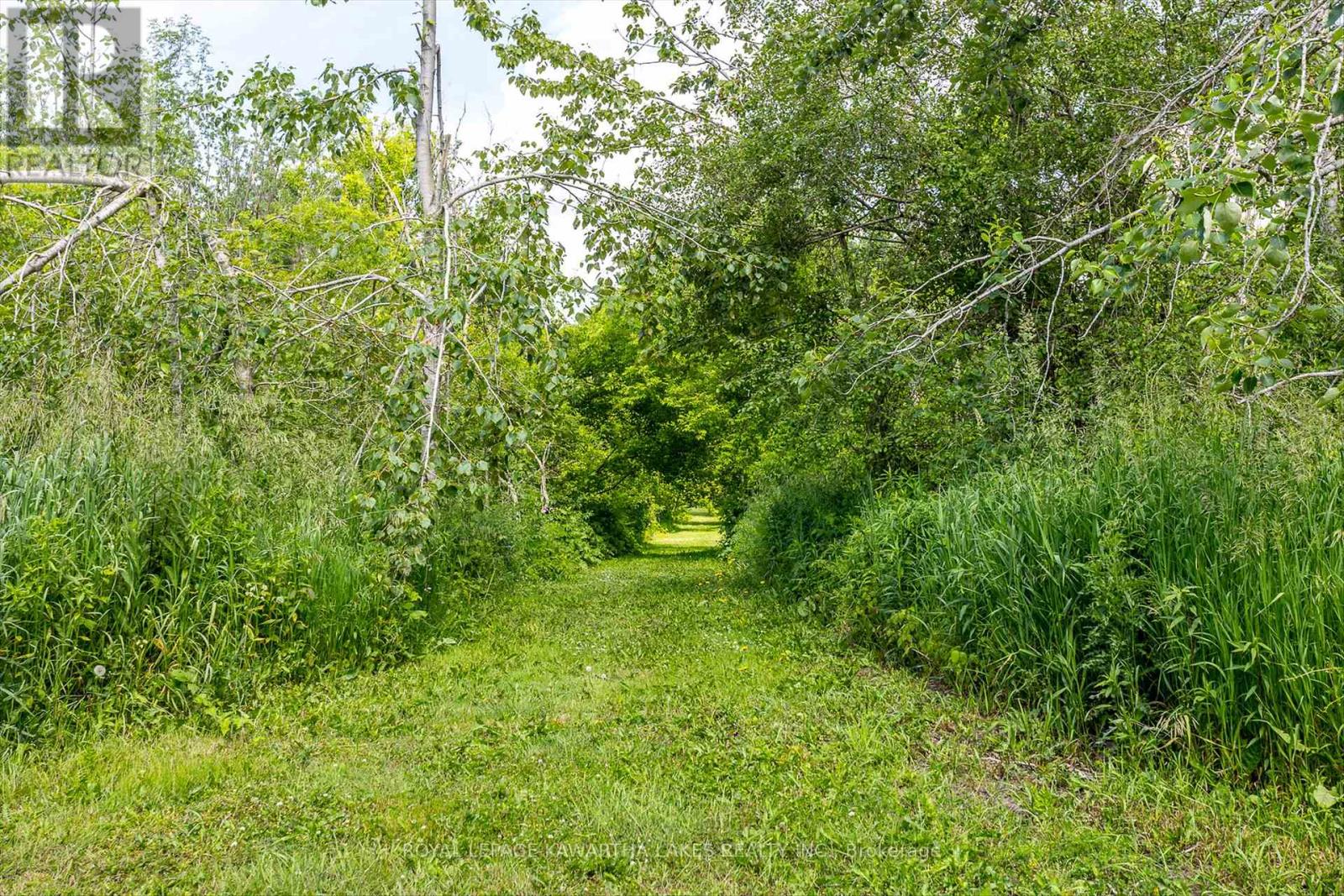 563 Heights Road, Kawartha Lakes, Ontario  K0L 2X0 - Photo 42 - X12228457