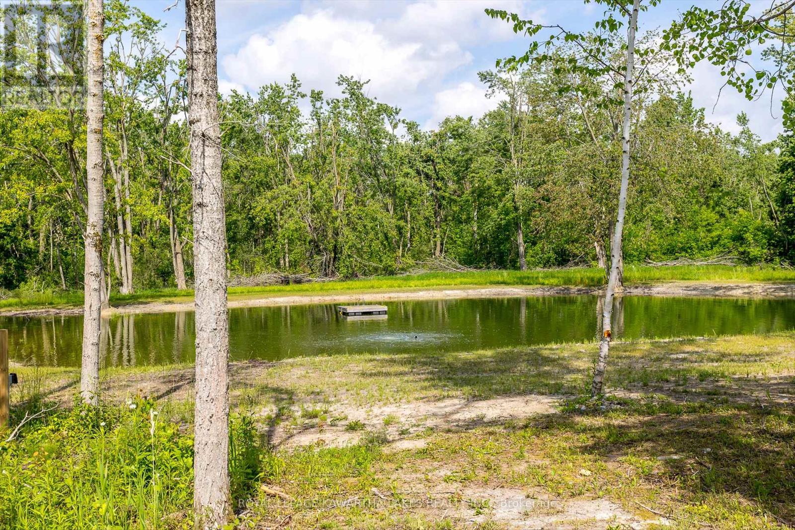563 Heights Road, Kawartha Lakes, Ontario  K0L 2X0 - Photo 43 - X12228457