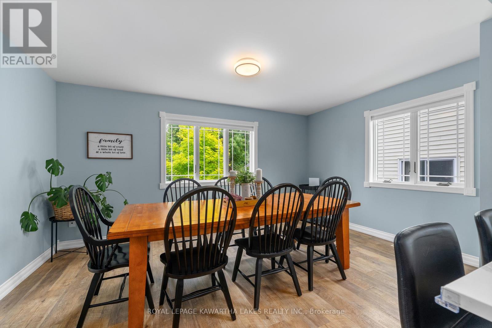 113 Queen Street, Kawartha Lakes, Ontario  K0M 1N0 - Photo 15 - X12240382