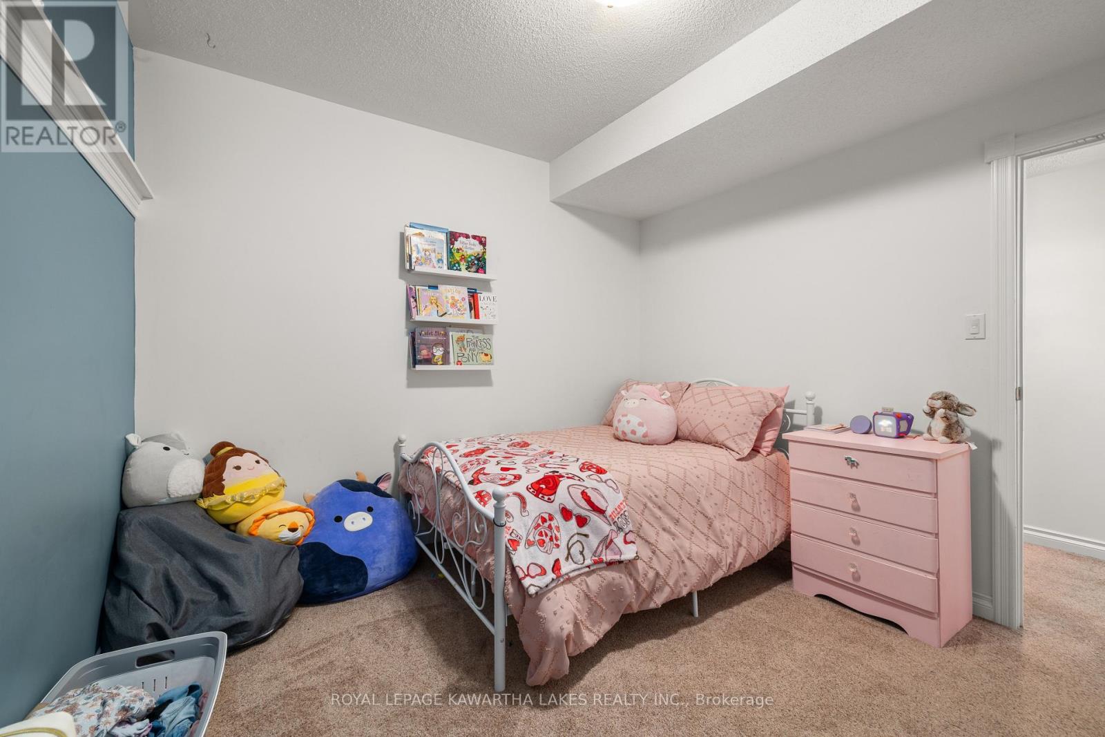 113 Queen Street, Kawartha Lakes, Ontario  K0M 1N0 - Photo 35 - X12240382