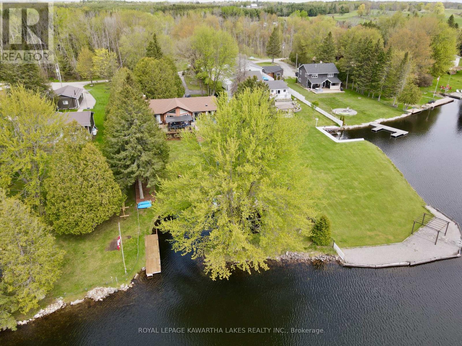 21 Trent View Road, Kawartha Lakes, Ontario  K0M 2B0 - Photo 4 - X12259305