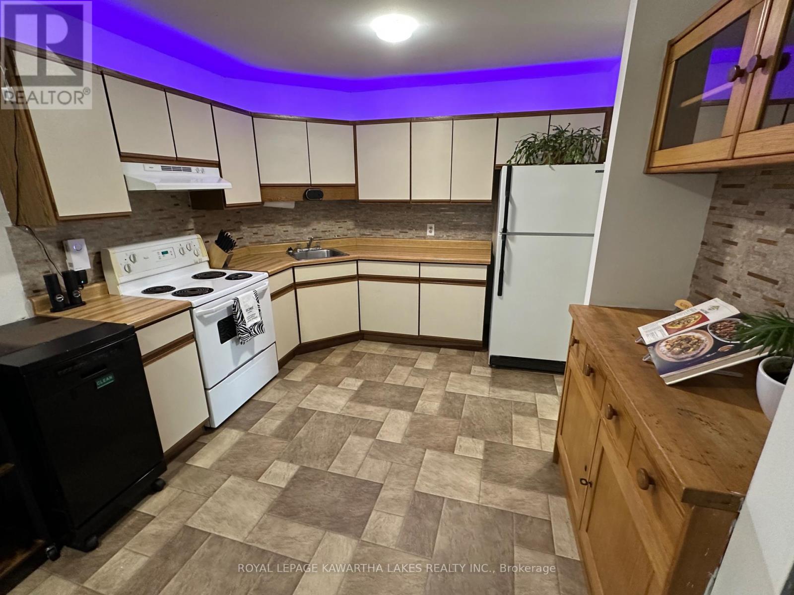 317 William Street N, Kawartha Lakes, Ontario  K9V 6A6 - Photo 10 - X12307505