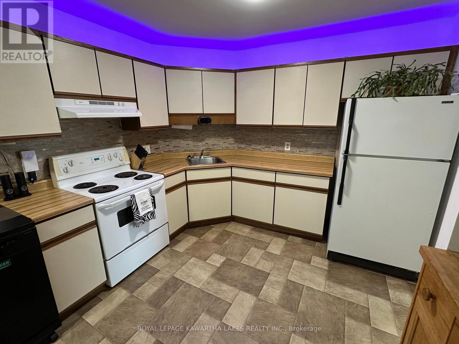 317 William Street N, Kawartha Lakes, Ontario  K9V 6A6 - Photo 11 - X12307505
