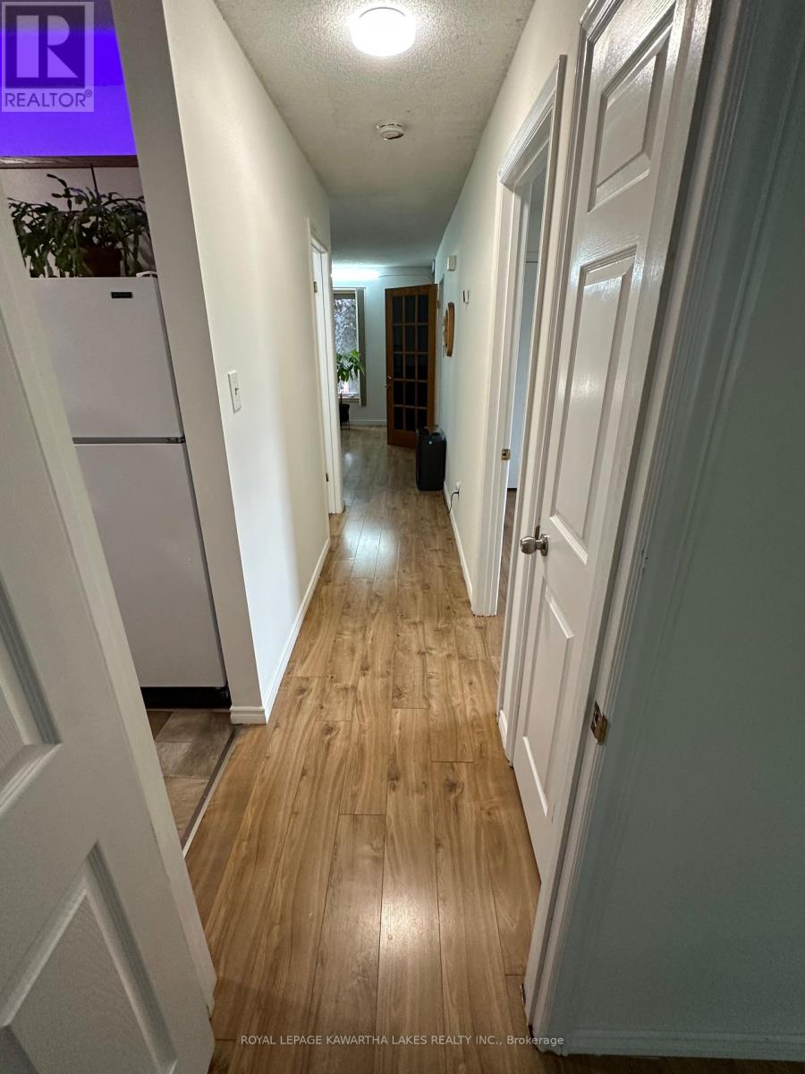 317 William Street N, Kawartha Lakes, Ontario  K9V 6A6 - Photo 16 - X12307505