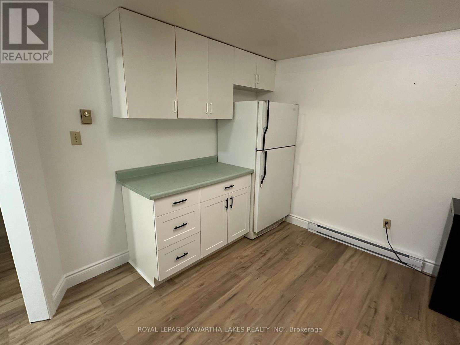 317 William Street N, Kawartha Lakes, Ontario  K9V 6A6 - Photo 28 - X12307505