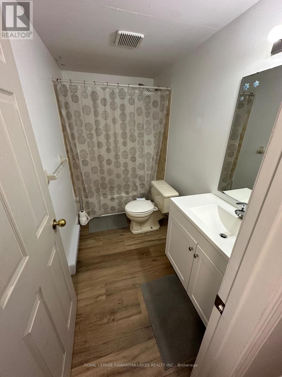 317 William Street N, Kawartha Lakes, Ontario  K9V 6A6 - Photo 32 - X12307505