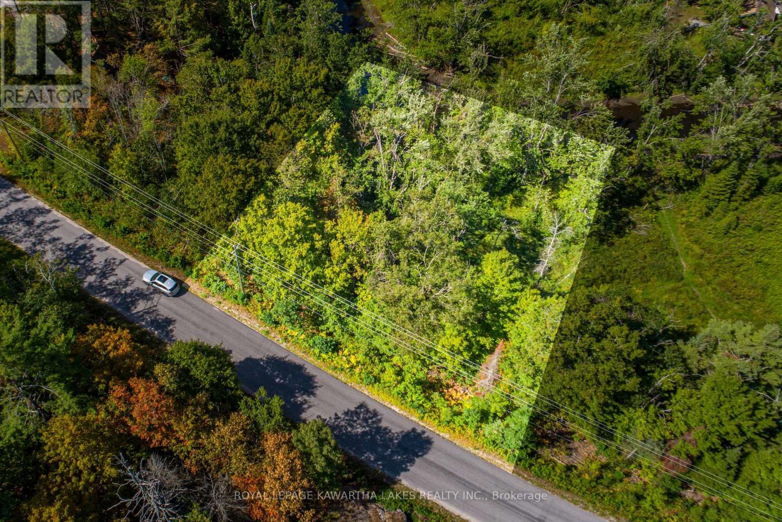 Pt Lot 36 Edwina Drive, Trent Lakes, Ontario  K0M 1A0 - Photo 1 - X12356493