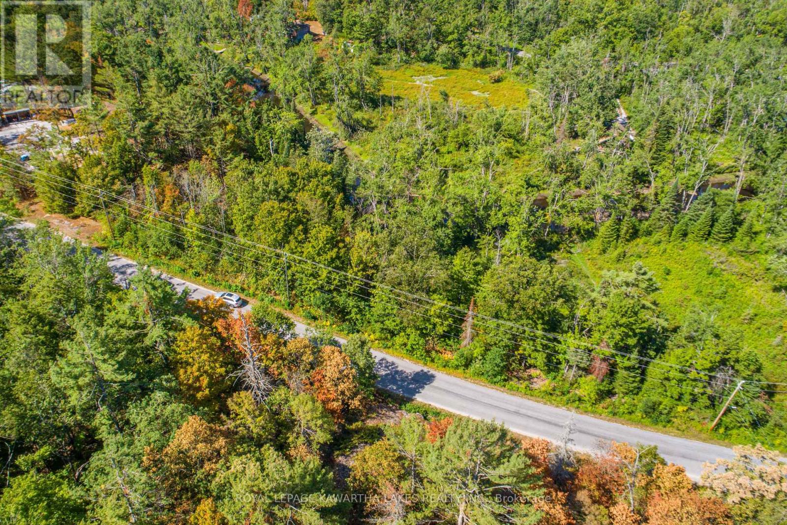 Pt Lot 36 Edwina Drive, Trent Lakes, Ontario  K0M 1A0 - Photo 14 - X12356493