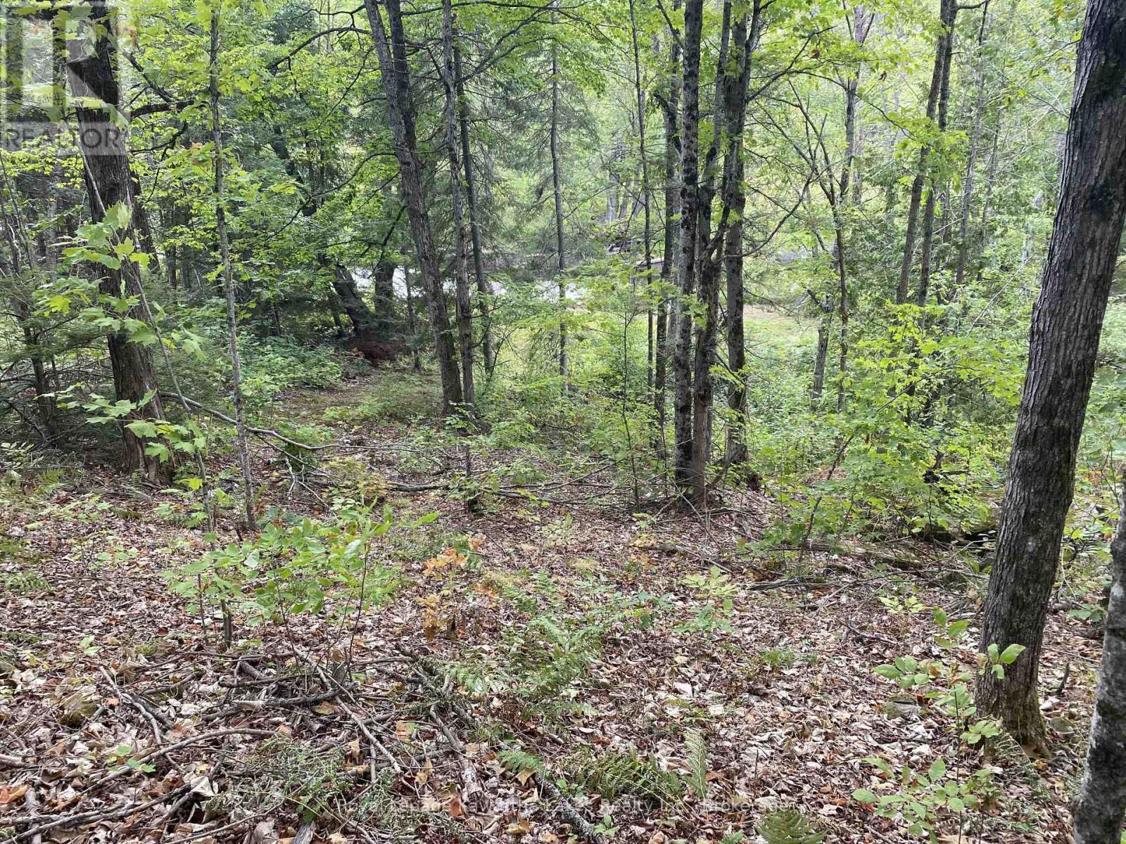 Pt Lot 36 Edwina Drive, Trent Lakes, Ontario  K0M 1A0 - Photo 21 - X12356493