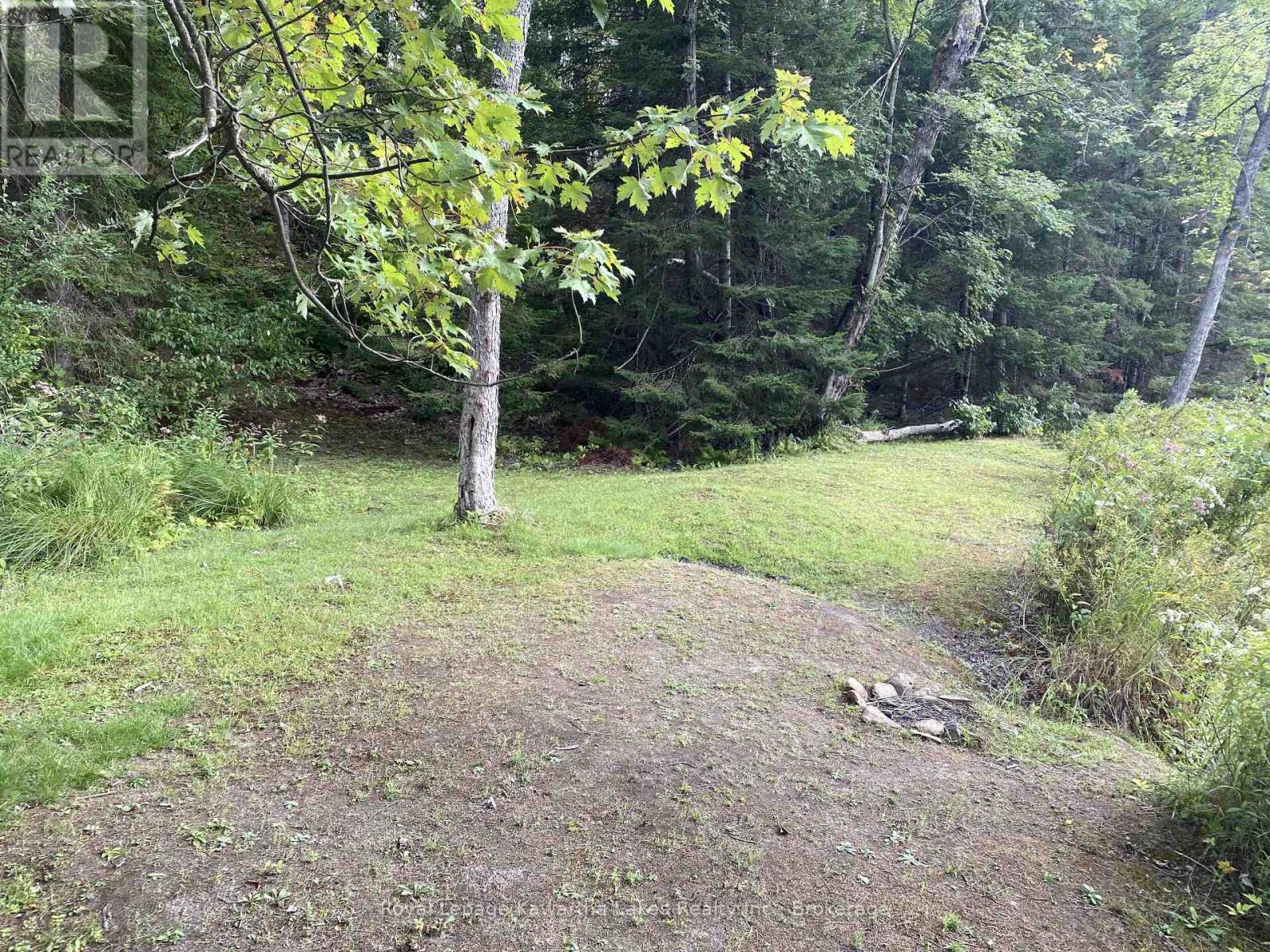 Pt Lot 36 Edwina Drive, Trent Lakes, Ontario  K0M 1A0 - Photo 22 - X12356493