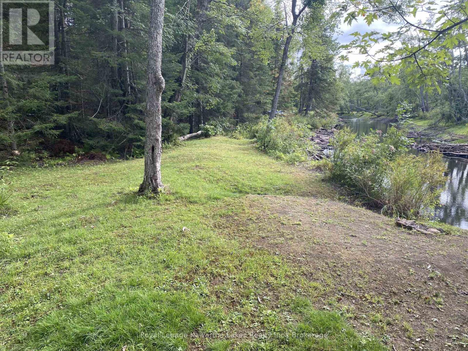 Pt Lot 36 Edwina Drive, Trent Lakes, Ontario  K0M 1A0 - Photo 23 - X12356493