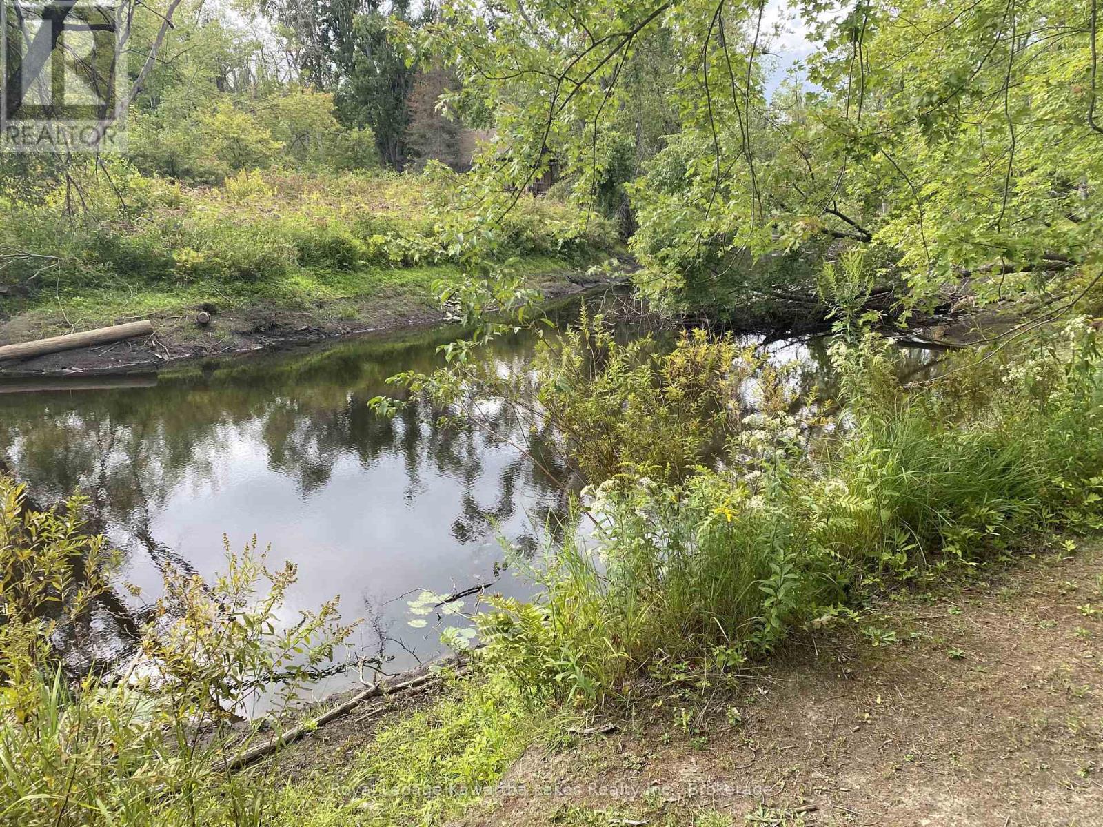 Pt Lot 36 Edwina Drive, Trent Lakes, Ontario  K0M 1A0 - Photo 24 - X12356493