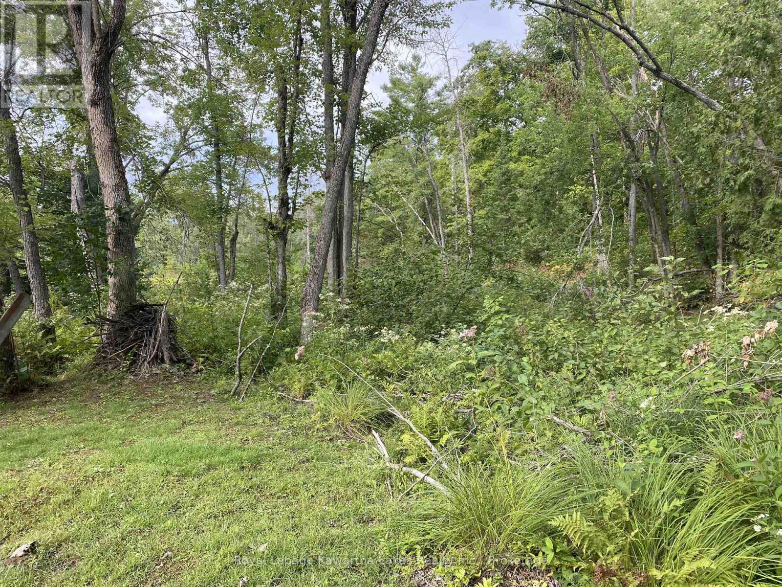 Pt Lot 36 Edwina Drive, Trent Lakes, Ontario  K0M 1A0 - Photo 25 - X12356493