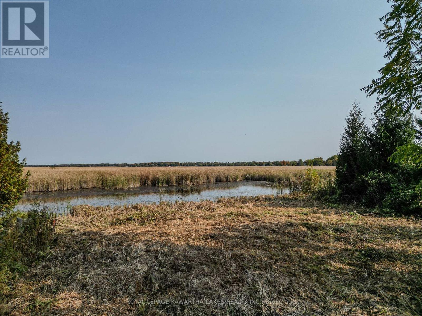 Lt 14 Charlore Park Drive, Kawartha Lakes, Ontario  K0L 2W0 - Photo 3 - X12373557