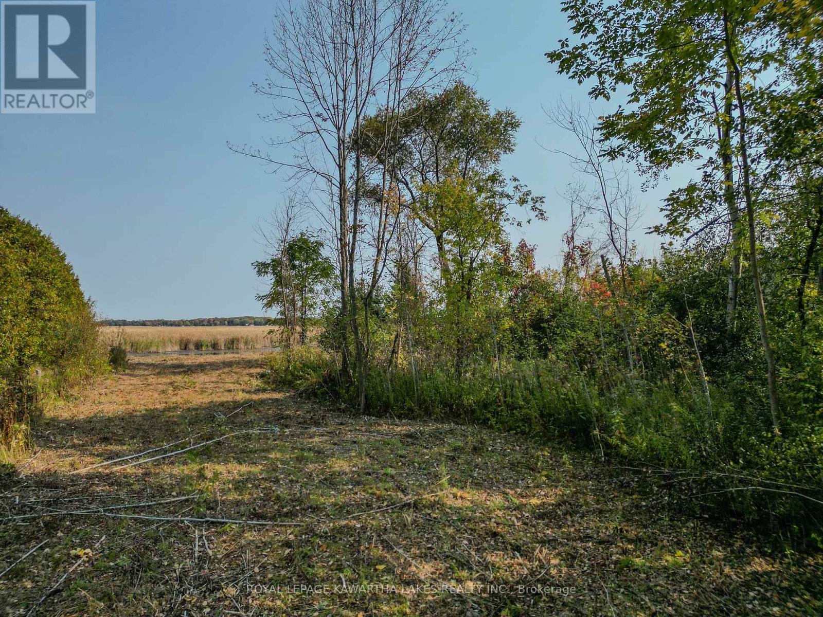 Lt 14 Charlore Park Drive, Kawartha Lakes, Ontario  K0L 2W0 - Photo 5 - X12373557