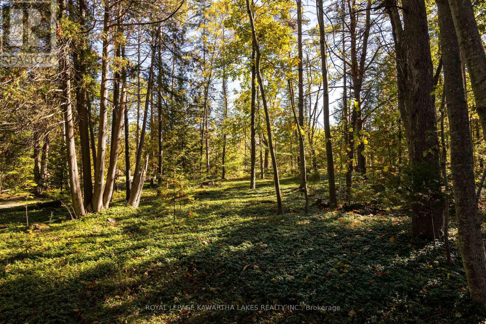 54 Romany Ranch Road, Kawartha Lakes, Ontario  K0M 1G0 - Photo 47 - X12442088
