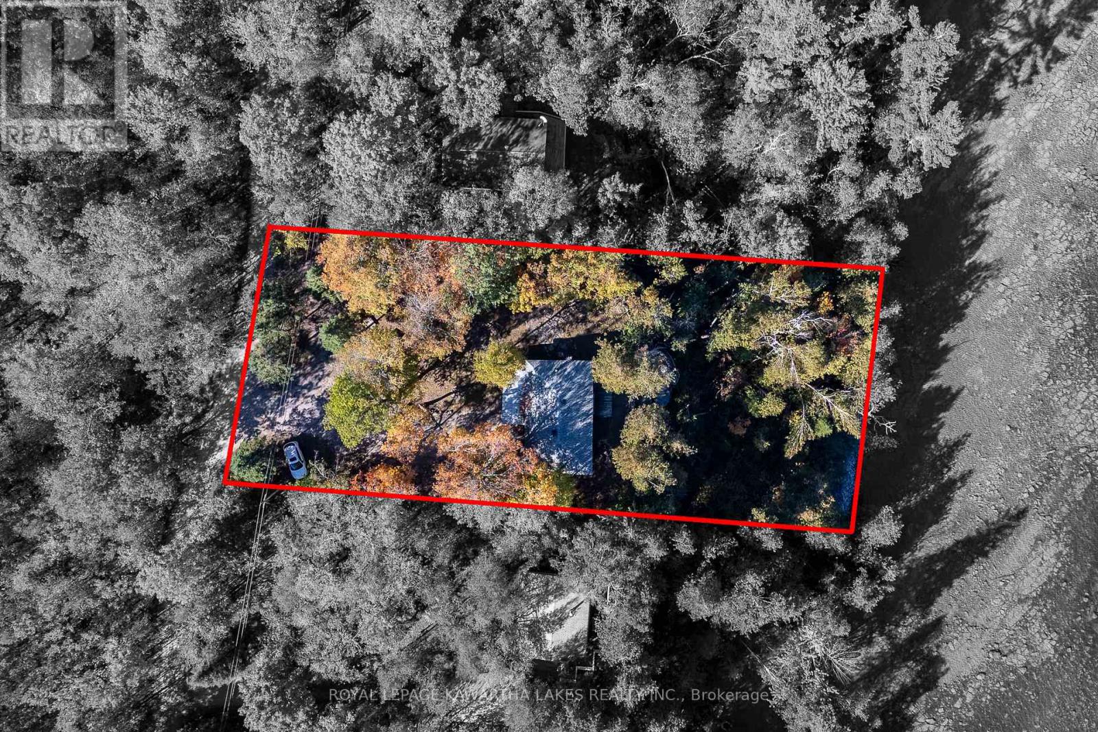 152 Griffin Drive, Kawartha Lakes, Ontario  K0M 1K0 - Photo 26 - X12443502