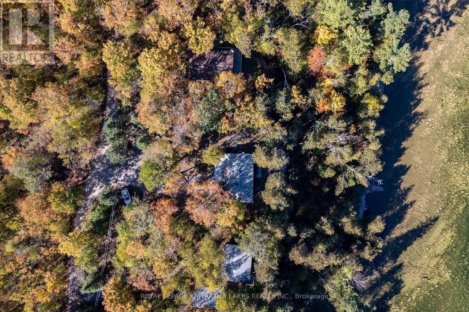 152 Griffin Drive, Kawartha Lakes, Ontario  K0M 1K0 - Photo 27 - X12443502