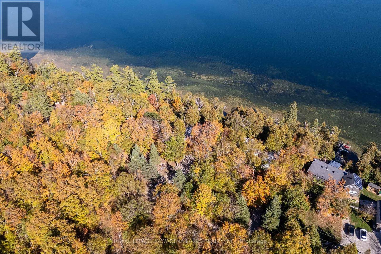 152 Griffin Drive, Kawartha Lakes, Ontario  K0M 1K0 - Photo 28 - X12443502