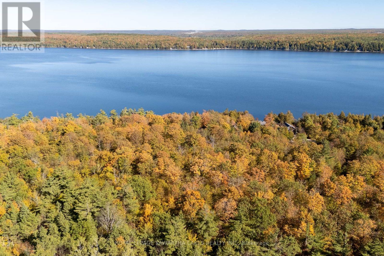 152 Griffin Drive, Kawartha Lakes, Ontario  K0M 1K0 - Photo 30 - X12443502