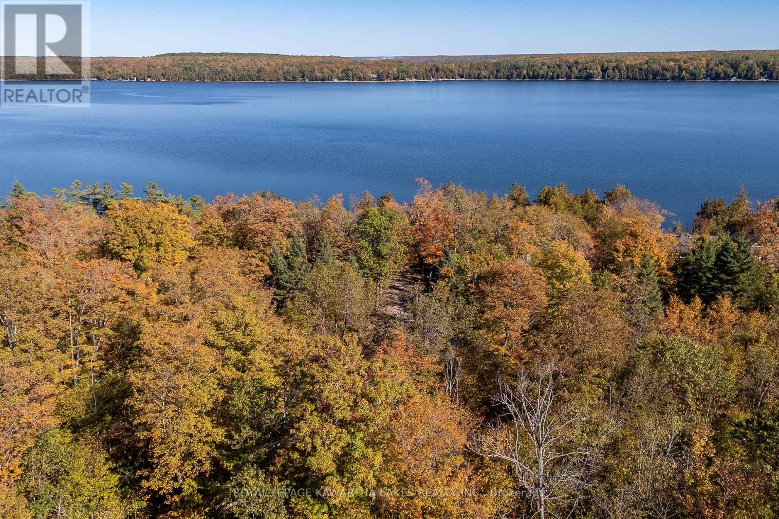 152 Griffin Drive, Kawartha Lakes, Ontario  K0M 1K0 - Photo 31 - X12443502