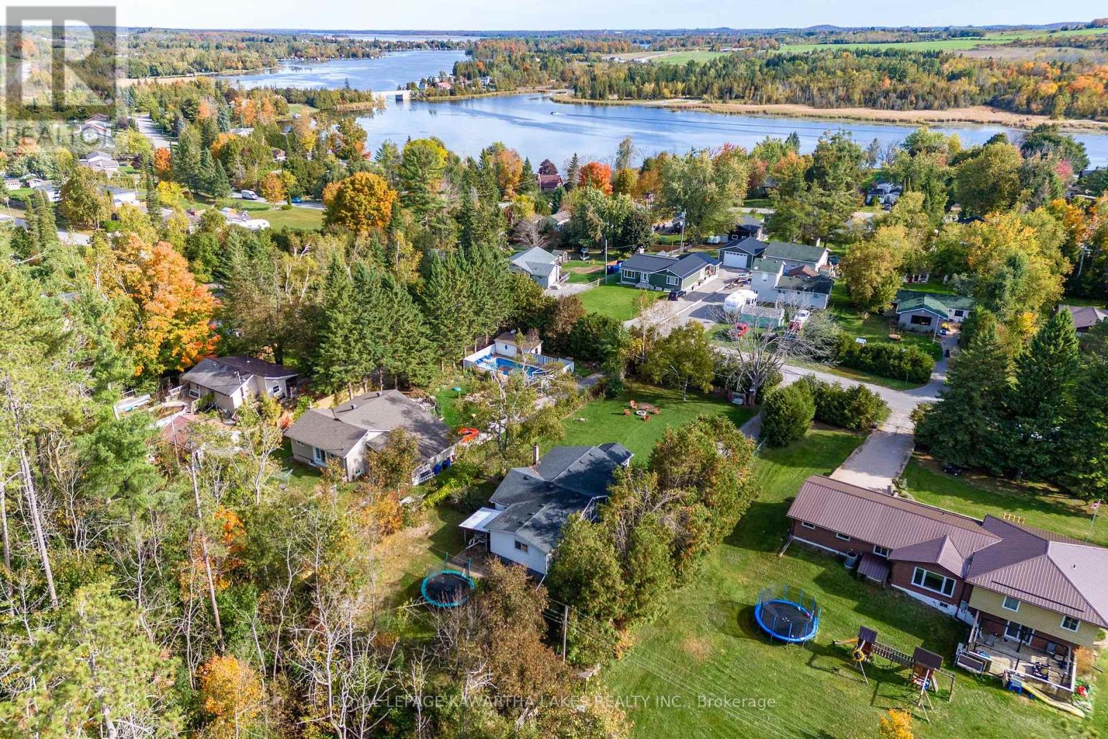35 Woods Avenue, Kawartha Lakes, Ontario  K0L 2W0 - Photo 4 - X12461417