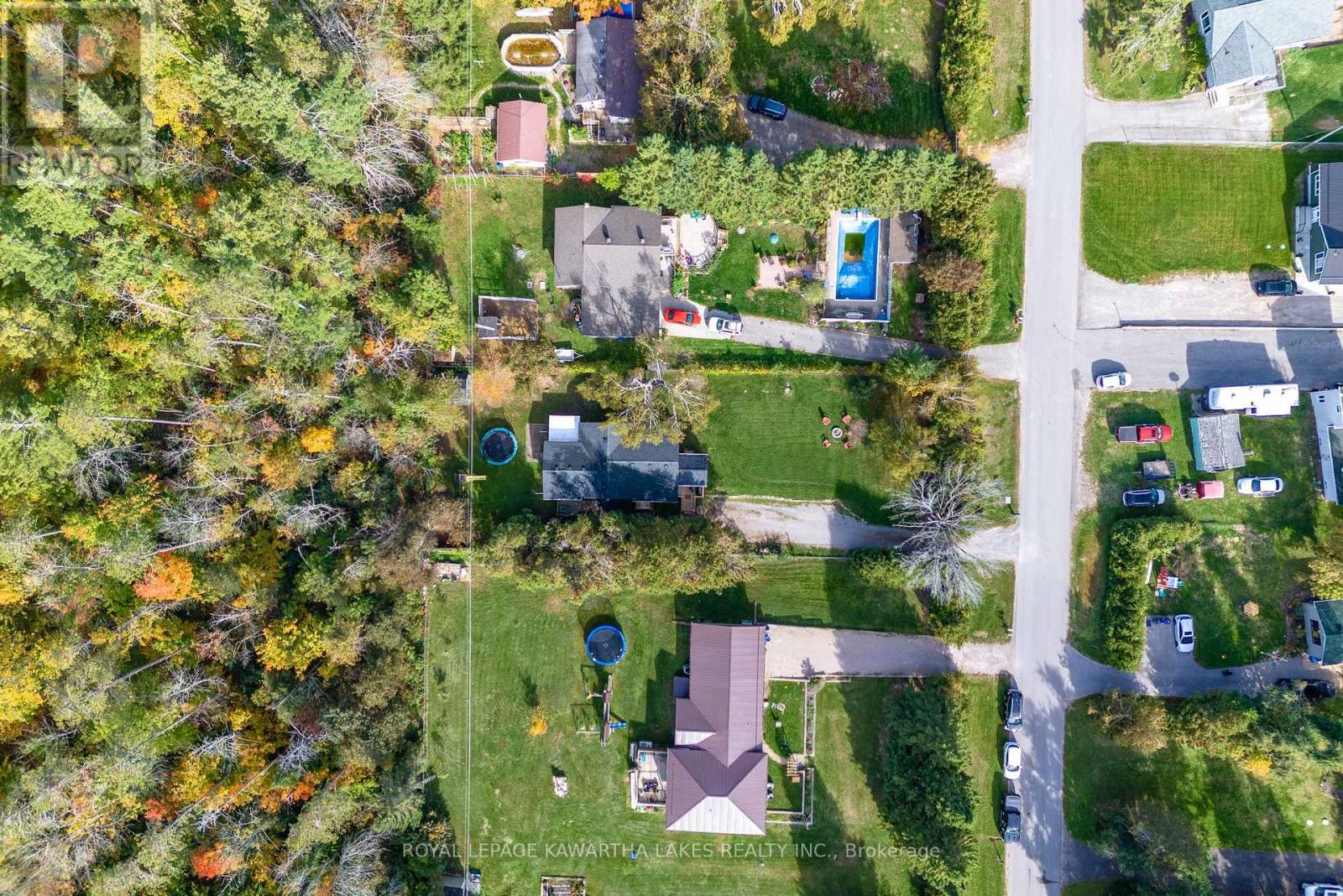 35 Woods Avenue, Kawartha Lakes, Ontario  K0L 2W0 - Photo 5 - X12461417