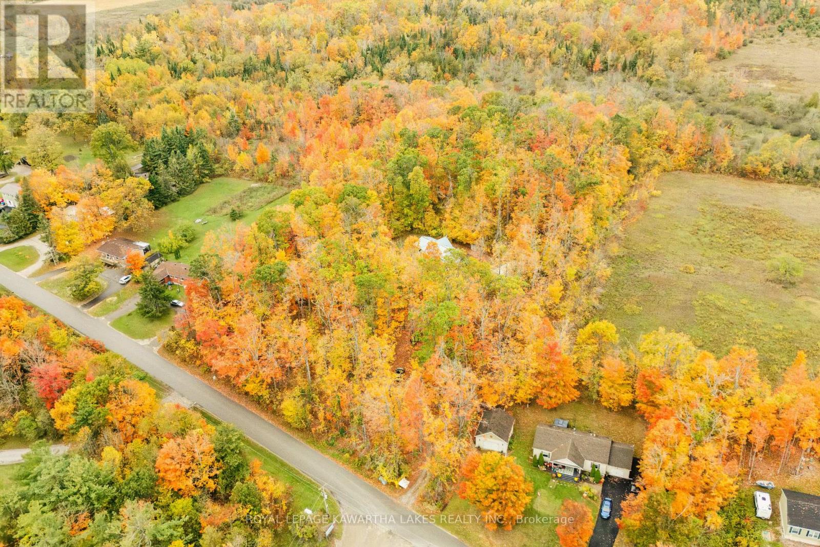 693 Balsam Lake Drive, Kawartha Lakes, Ontario  K0M 2B0 - Photo 49 - X12475205