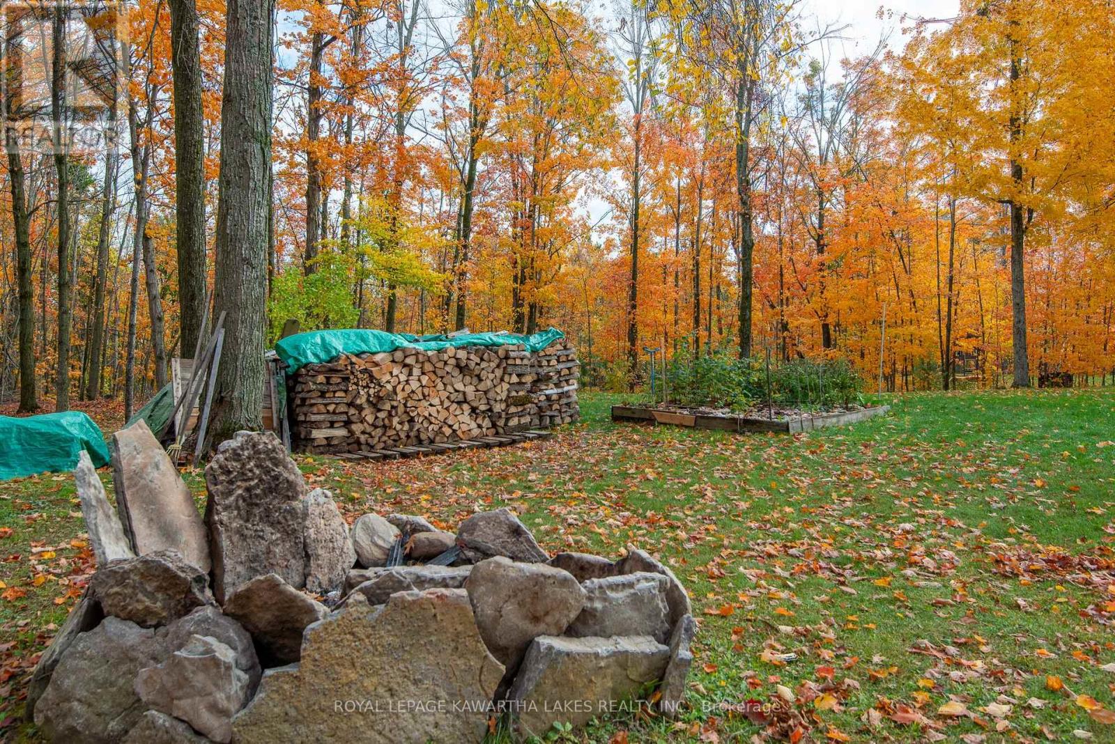 356 Olivers Road, Kawartha Lakes, Ontario  K0M 1A0 - Photo 28 - X12475290