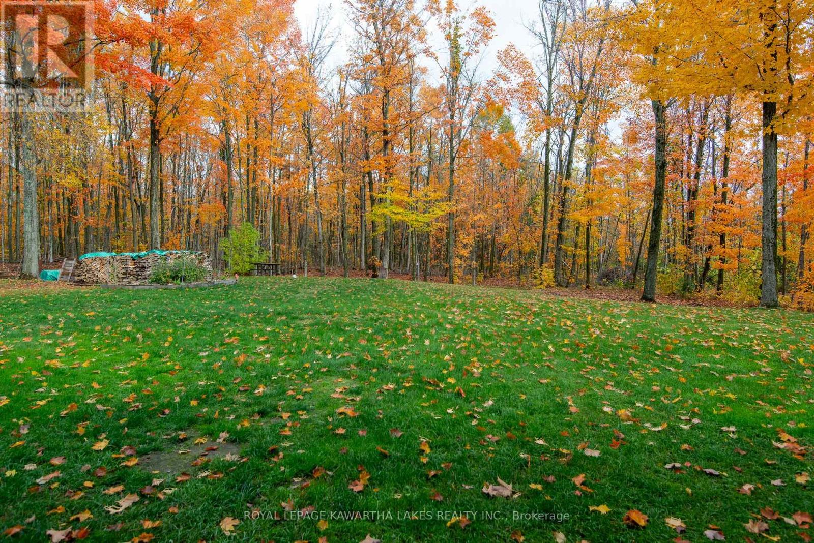 356 Olivers Road, Kawartha Lakes, Ontario  K0M 1A0 - Photo 29 - X12475290