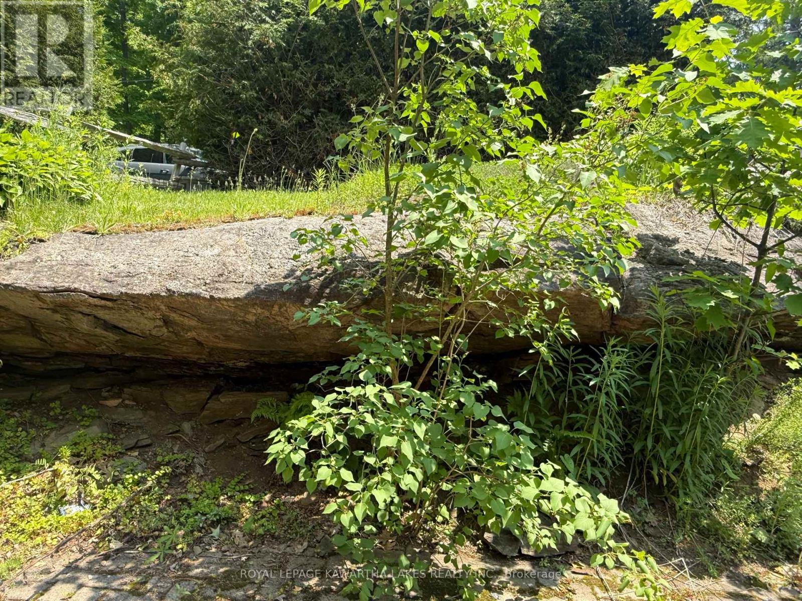 5 Government Dock Road, Kawartha Lakes, Ontario  K0M 2L0 - Photo 16 - X12499764