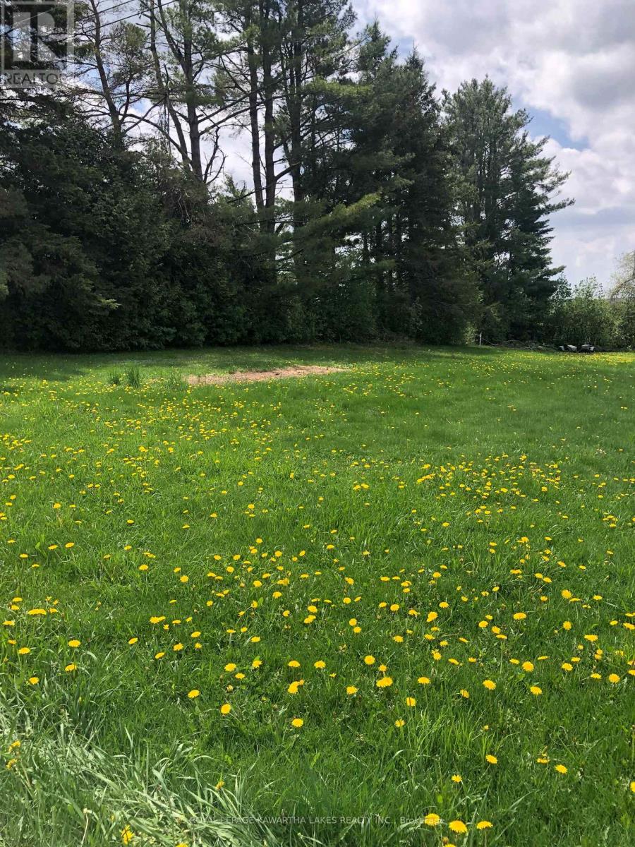 8 Fulsom Crescent, Kawartha Lakes, Ontario  L3V 0H5 - Photo 4 - X12528484