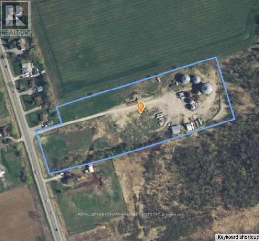 2788 Hwy 35, Kawartha Lakes, Ontario  K9V 4R4 - Photo 21 - X12605902