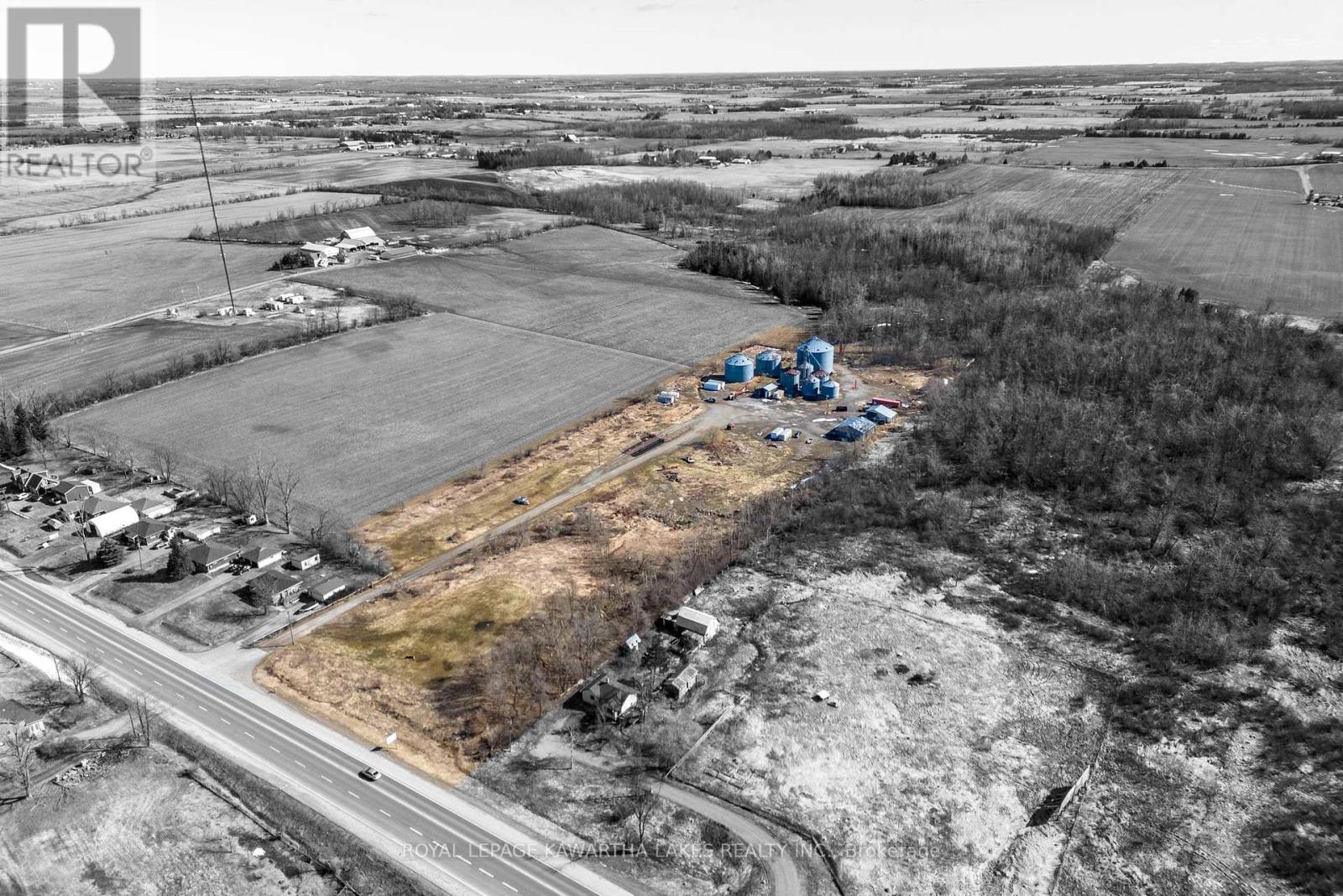 2788 Hwy 35, Kawartha Lakes, Ontario  K9V 4R4 - Photo 7 - X12605902