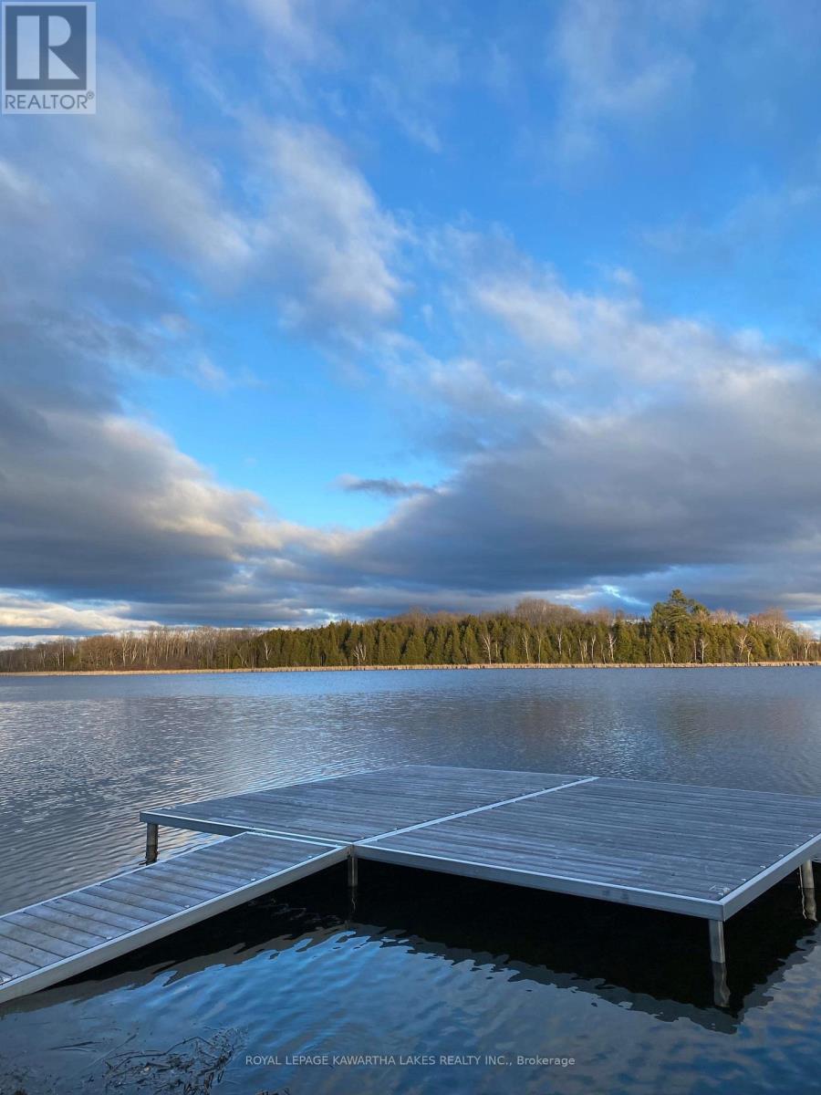222 O'reilly Lane, Kawartha Lakes, Ontario  K0M 2C0 - Photo 41 - X12653342