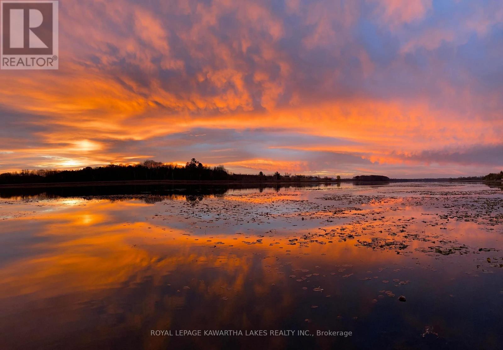 222 O'reilly Lane, Kawartha Lakes, Ontario  K0M 2C0 - Photo 50 - X12653342