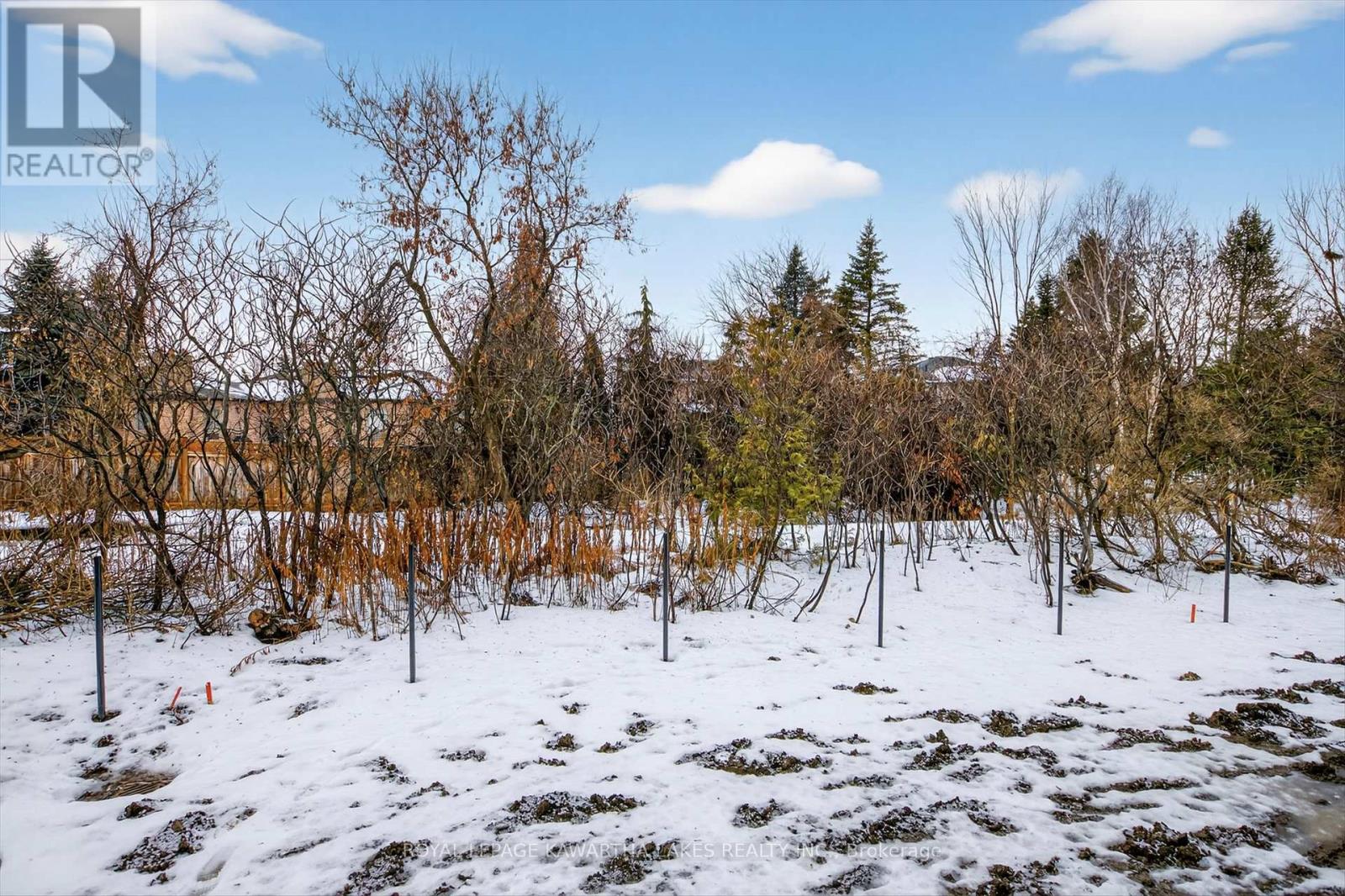 71 Watts Mew, Kawartha Lakes, Ontario  K9V 0T3 - Photo 48 - X12665320