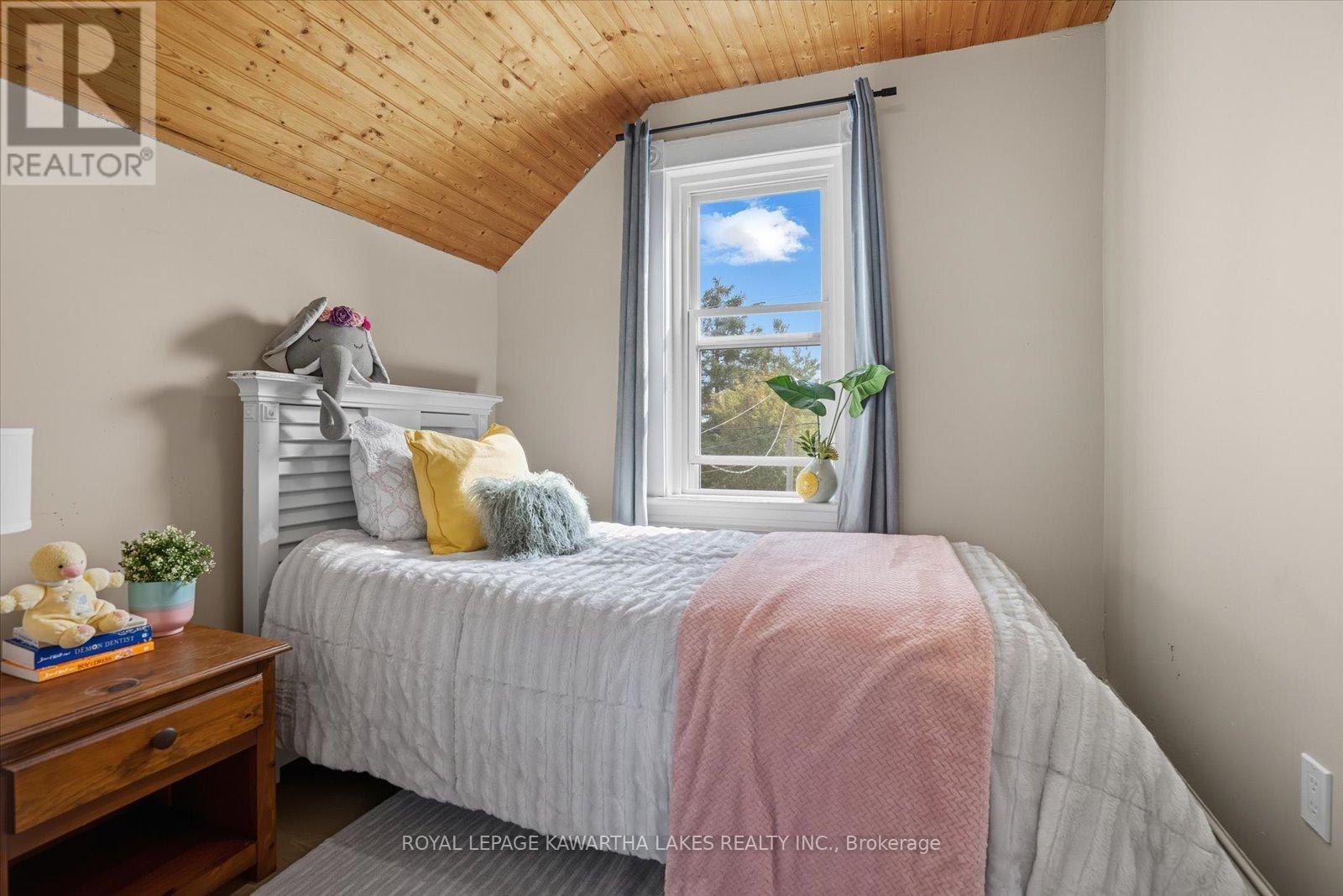 18 Mary Street W, Kawartha Lakes, Ontario  K9V 2N4 - Photo 22 - X12700570