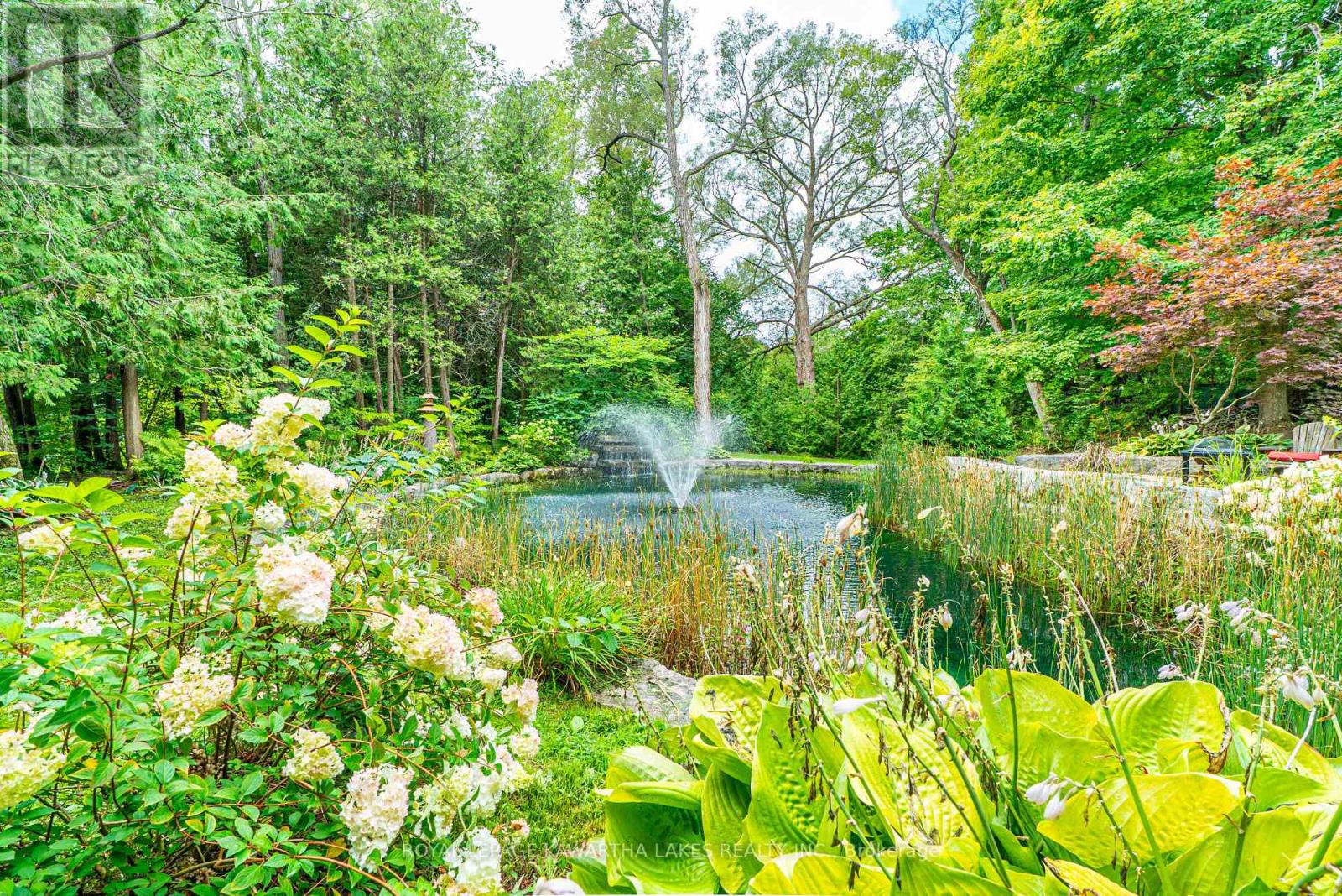 7725 Leskard Road N, Clarington, Ontario  L0B 1M0 - Photo 50 - E12728504