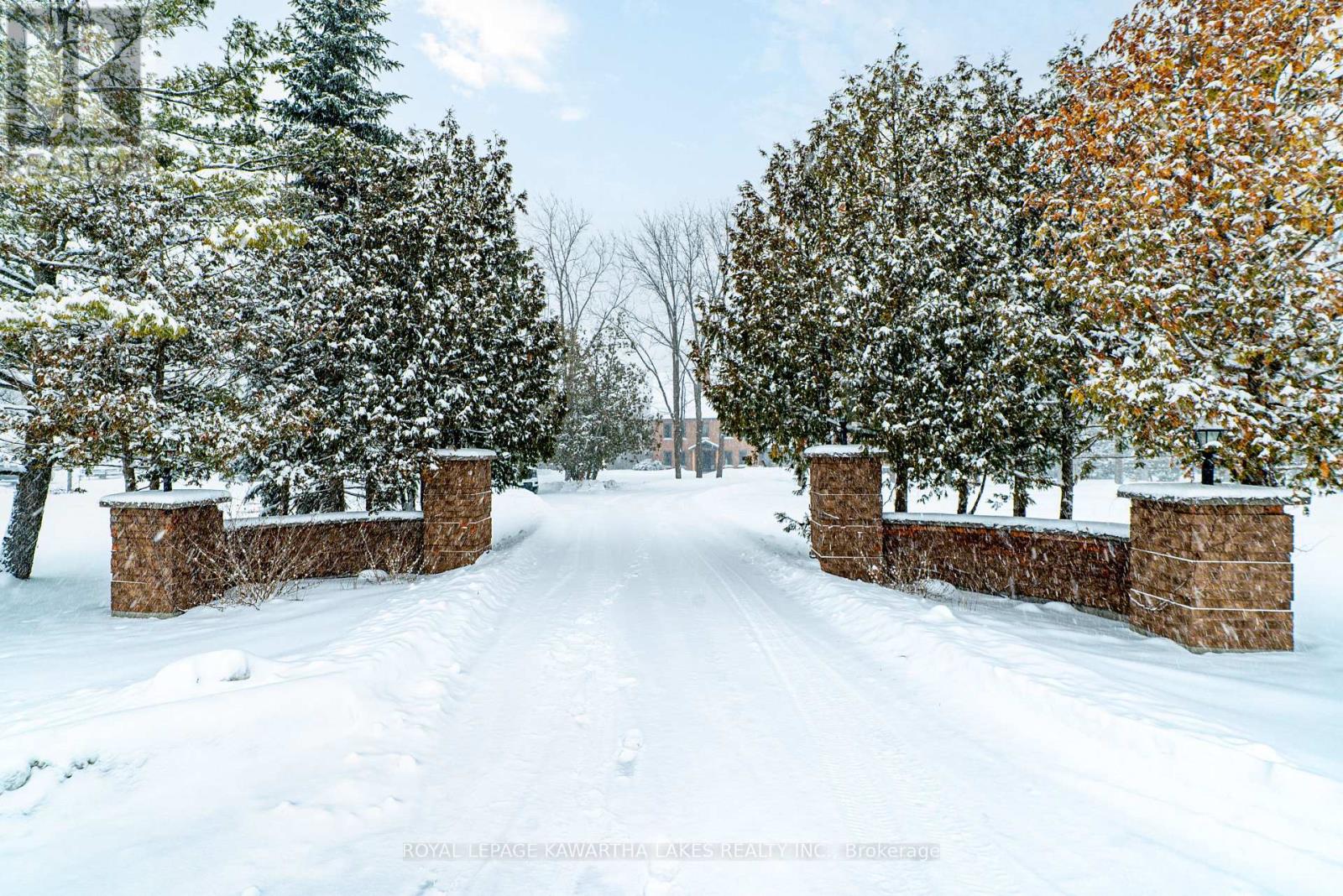 61 Kenrei Road, Kawartha Lakes, Ontario  K9V 4R1 - Photo 4 - X12731674