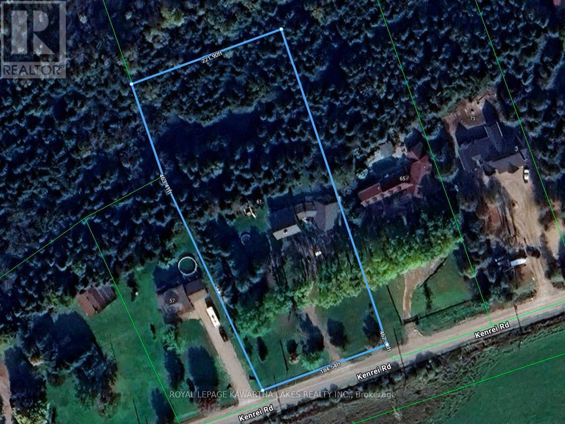 61 Kenrei Road, Kawartha Lakes, Ontario  K9V 4R1 - Photo 50 - X12731674