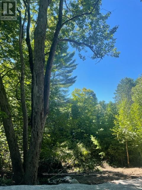 Lt 33 Benson Boulevard, Kawartha Lakes, Ontario  K0M 1K0 - Photo 20 - X12752624