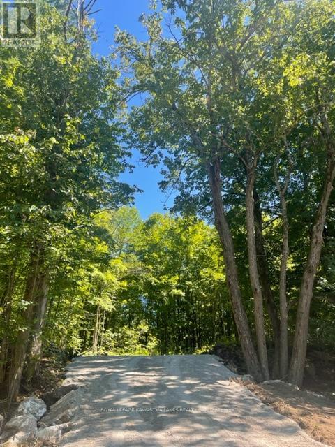 Lt 33 Benson Boulevard, Kawartha Lakes, Ontario  K0M 1K0 - Photo 23 - X12752624