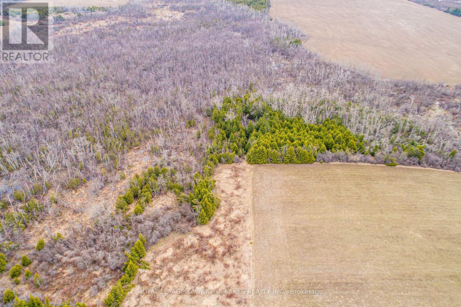 210 Grasshill Road, Kawartha Lakes, Ontario  K0M 2T0 - Photo 6 - X12774542