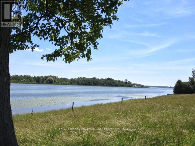 0 O'reilly Lane, Kawartha Lakes, Ontario  K0M 2T0 - Photo 3 - X12786018