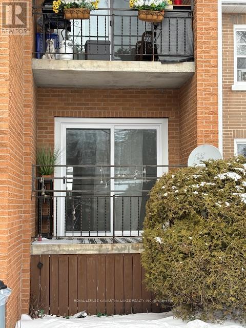 Lower - 105 Regent Street, Kawartha Lakes, Ontario  K9V 3V5 - Photo 5 - X12812448