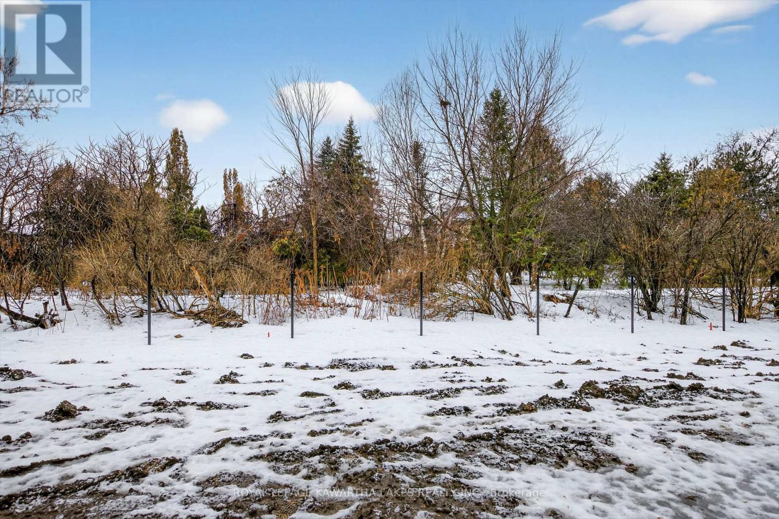 77 Watts Mew, Kawartha Lakes, Ontario  K9V 0T3 - Photo 48 - X12817954