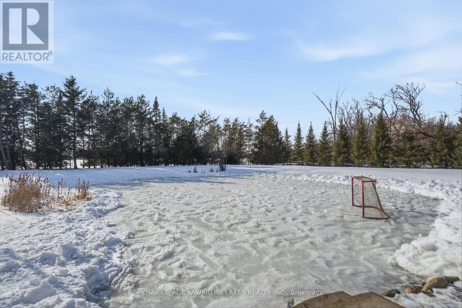 77 County Rd 36, Kawartha Lakes, Ontario  K9V 4R4 - Photo 49 - X12853898